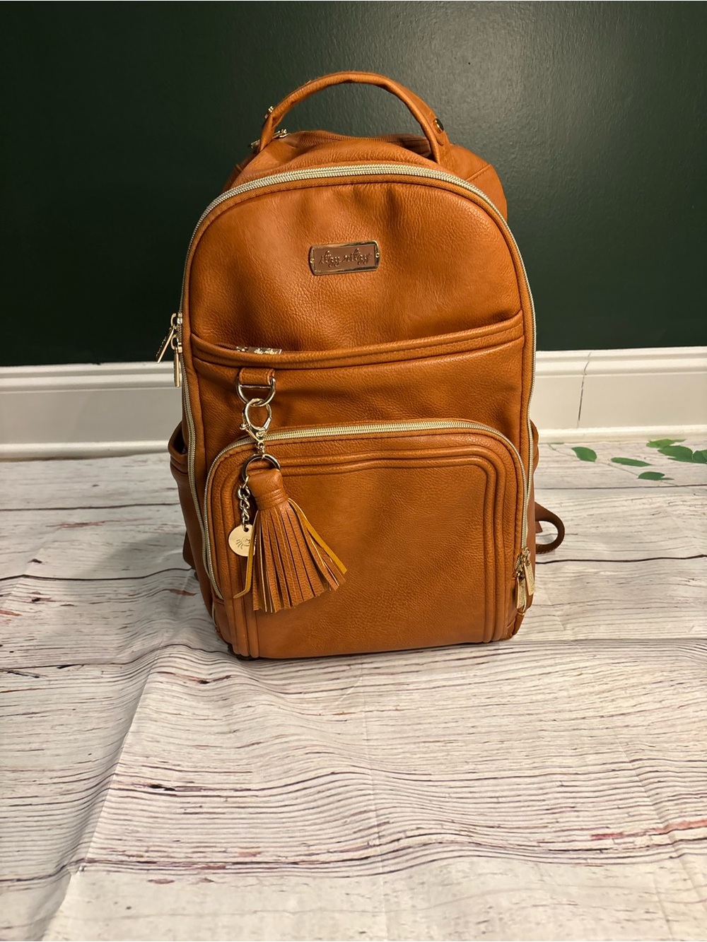 Itzy ritzy diaper bag